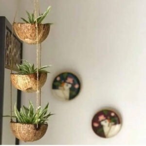 Suporte de Planta Sustentável: Casca de Coco e Fibra de Sisal