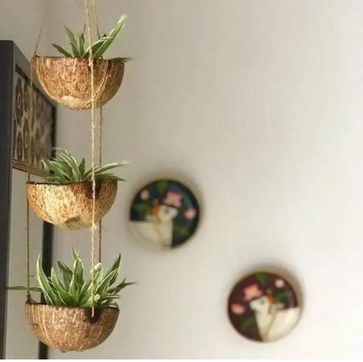 Suporte de Planta Sustentável: Casca de Coco e Fibra de Sisal